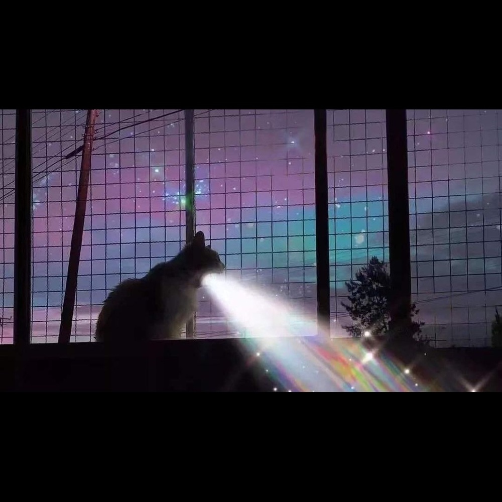 Meet your Posher, éæ¡